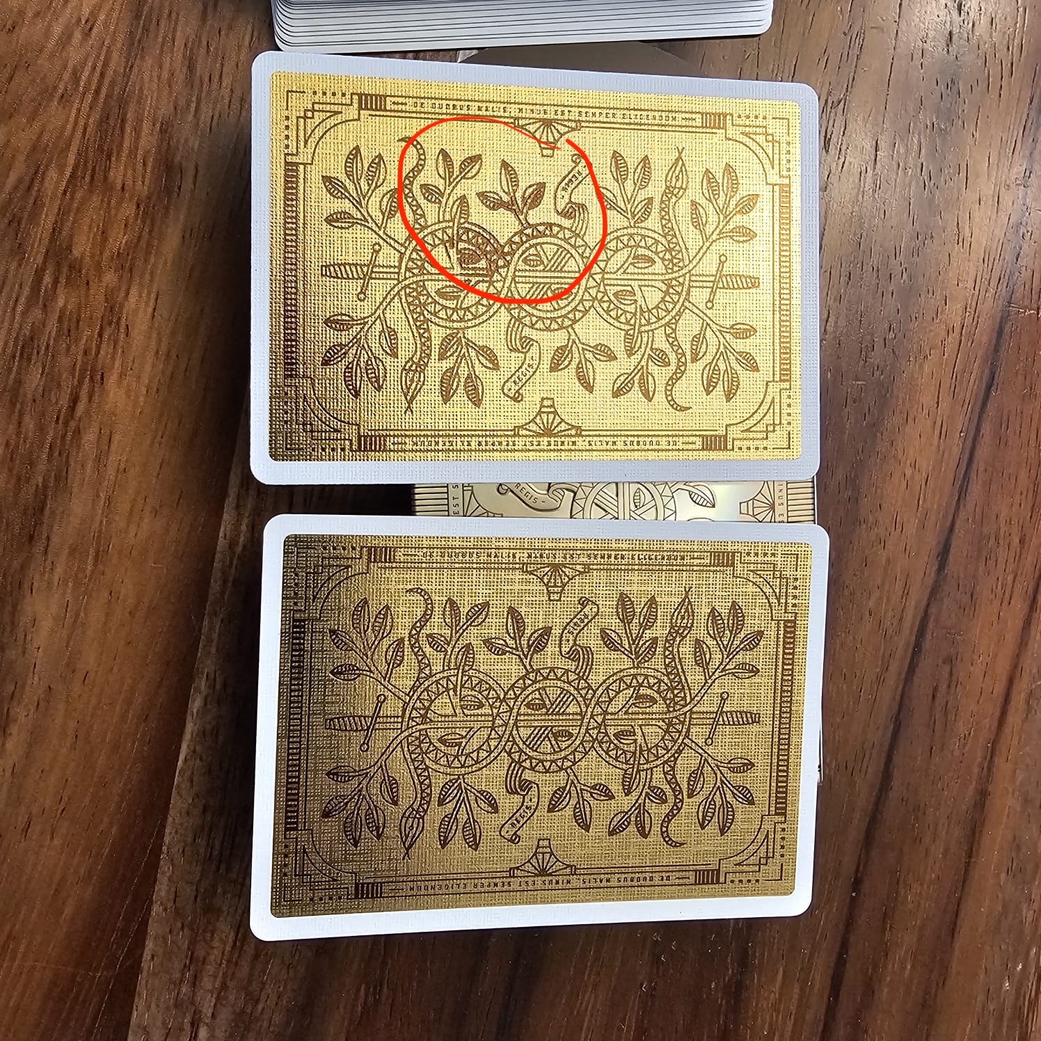 Misprint Circled.jpeg