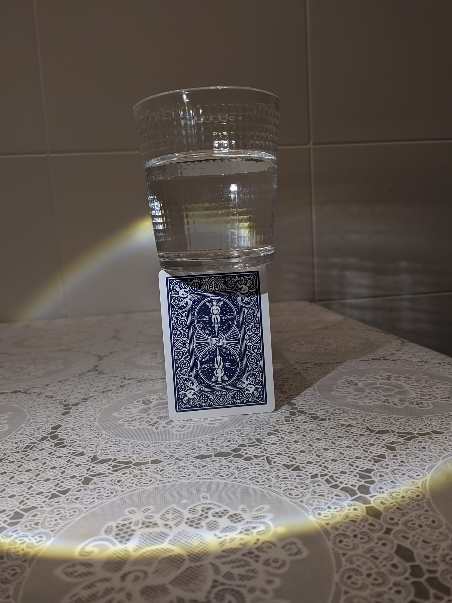 WhatsApp Image 2026-01-25 at 14.53.35(1).jpeg