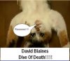 david blaine poster parody.jpg