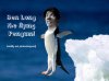 Ben Long the flying penguin.jpg