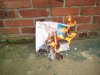 burn fism 004.JPG
