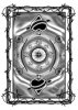 Final Back Design.jpg