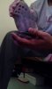 IMG-20161016-WA0004.jpg