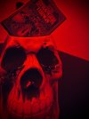 IMG_9415.jpeg