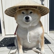 Makolani